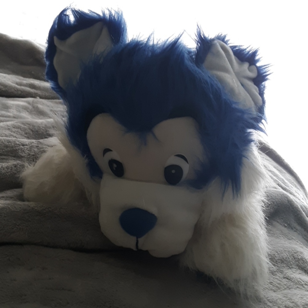Blue and White Stuffed Dog